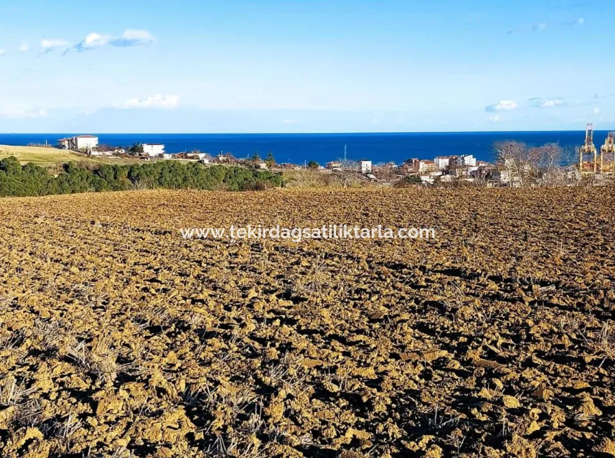 17.100 M2 Wohngebiet Mit Herrlicher Aussicht, In Der Nähe Des Hafens Tekirdağ Barbaros Asyaport