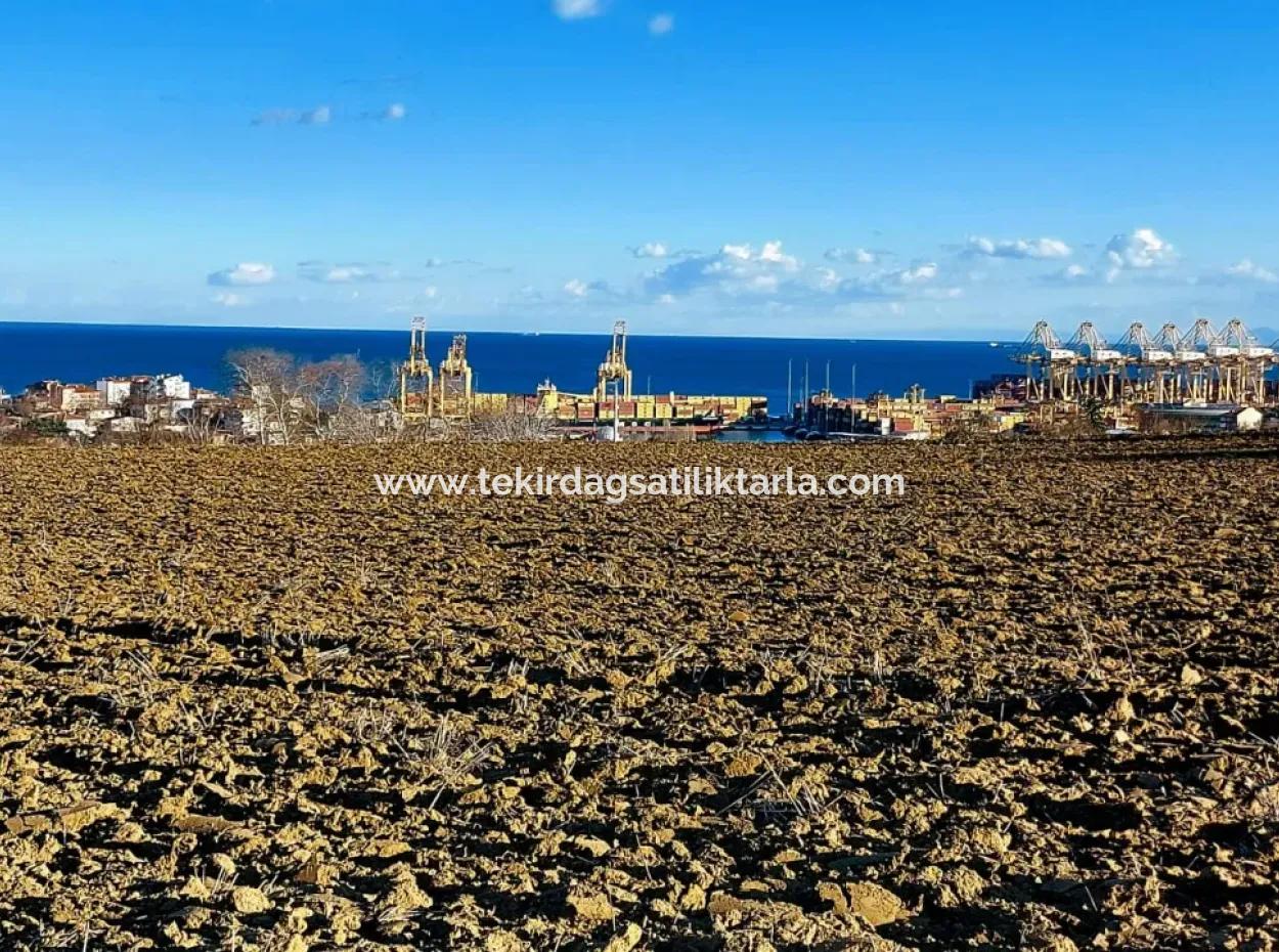 17.100 M2 Wohngebiet Mit Herrlicher Aussicht, In Der Nähe Des Hafens Tekirdağ Barbaros Asyaport