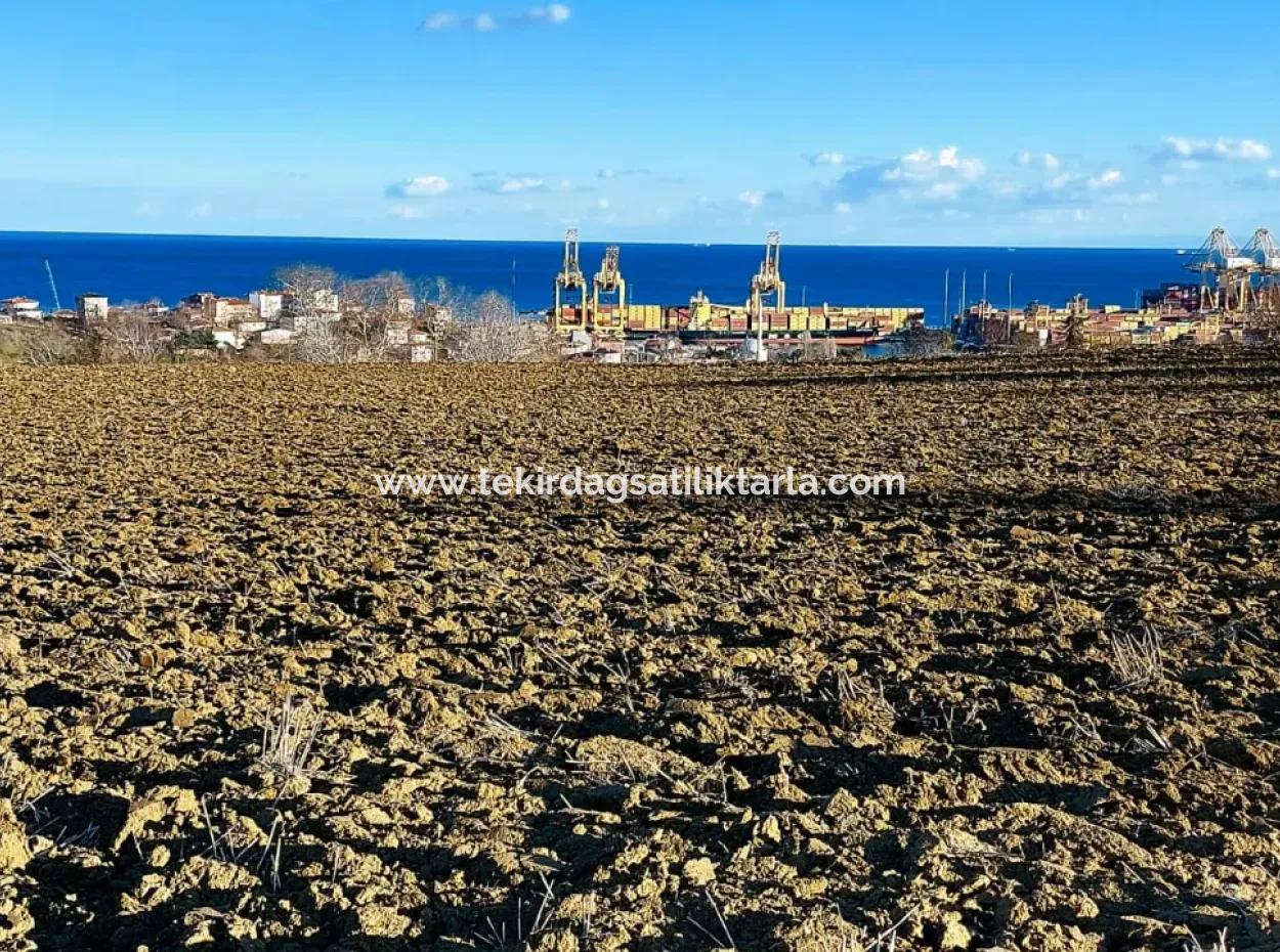 17.100 M2 Wohngebiet Mit Herrlicher Aussicht, In Der Nähe Des Hafens Tekirdağ Barbaros Asyaport