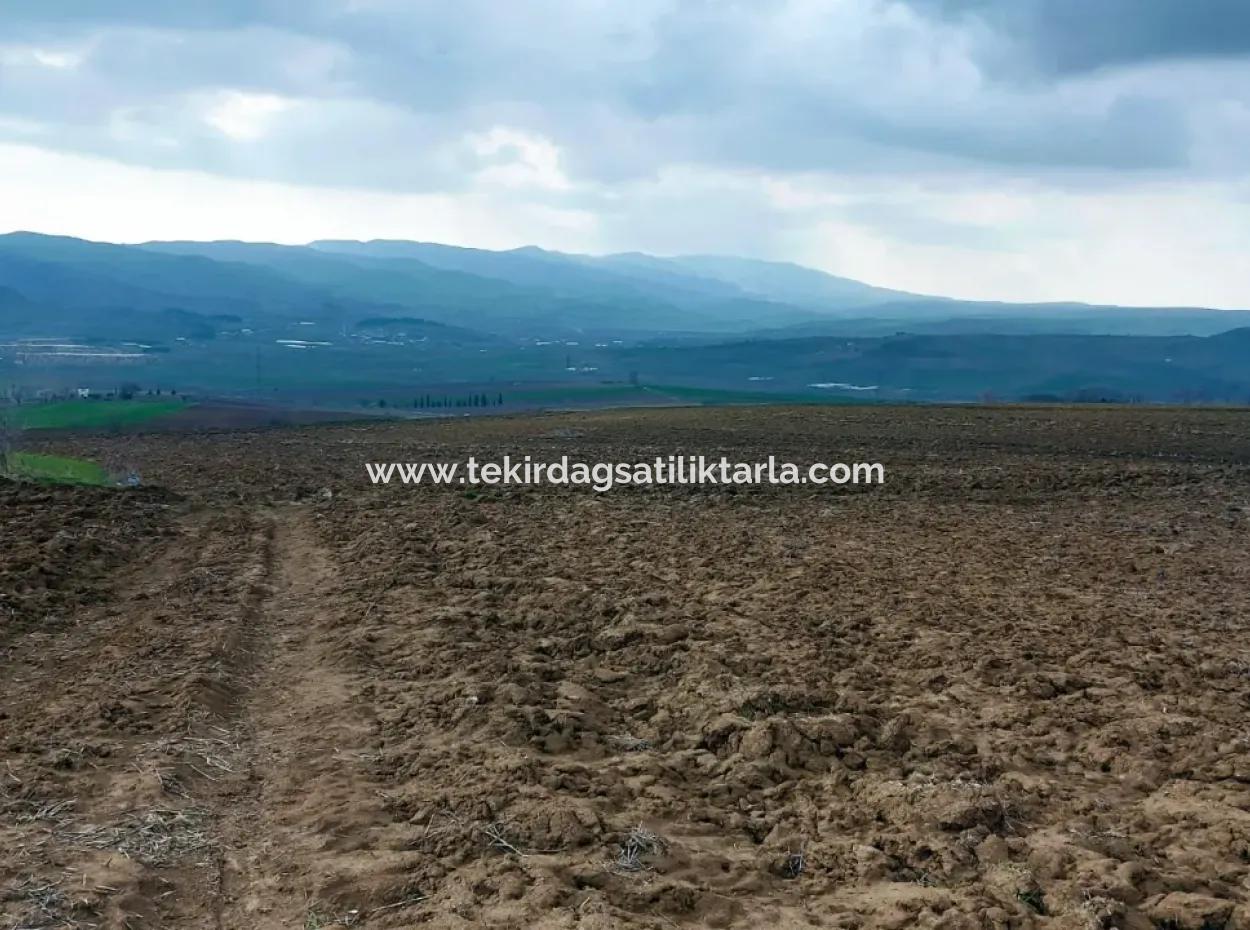 Investitionsmöglichkeit Für Gewerbe- Und Industriegebiete Im Rahmen Des Aktuellen Bebauungsplans Des Asyaport-Hafens In Der Region Tekirdağ Barbaros