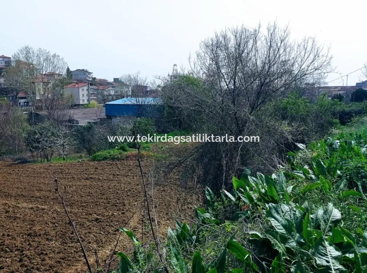 Ganz In Der Nähe Des Hafens Von Asyaport Mit Hohem Gewinn Und Garantiertem Wohngebiet