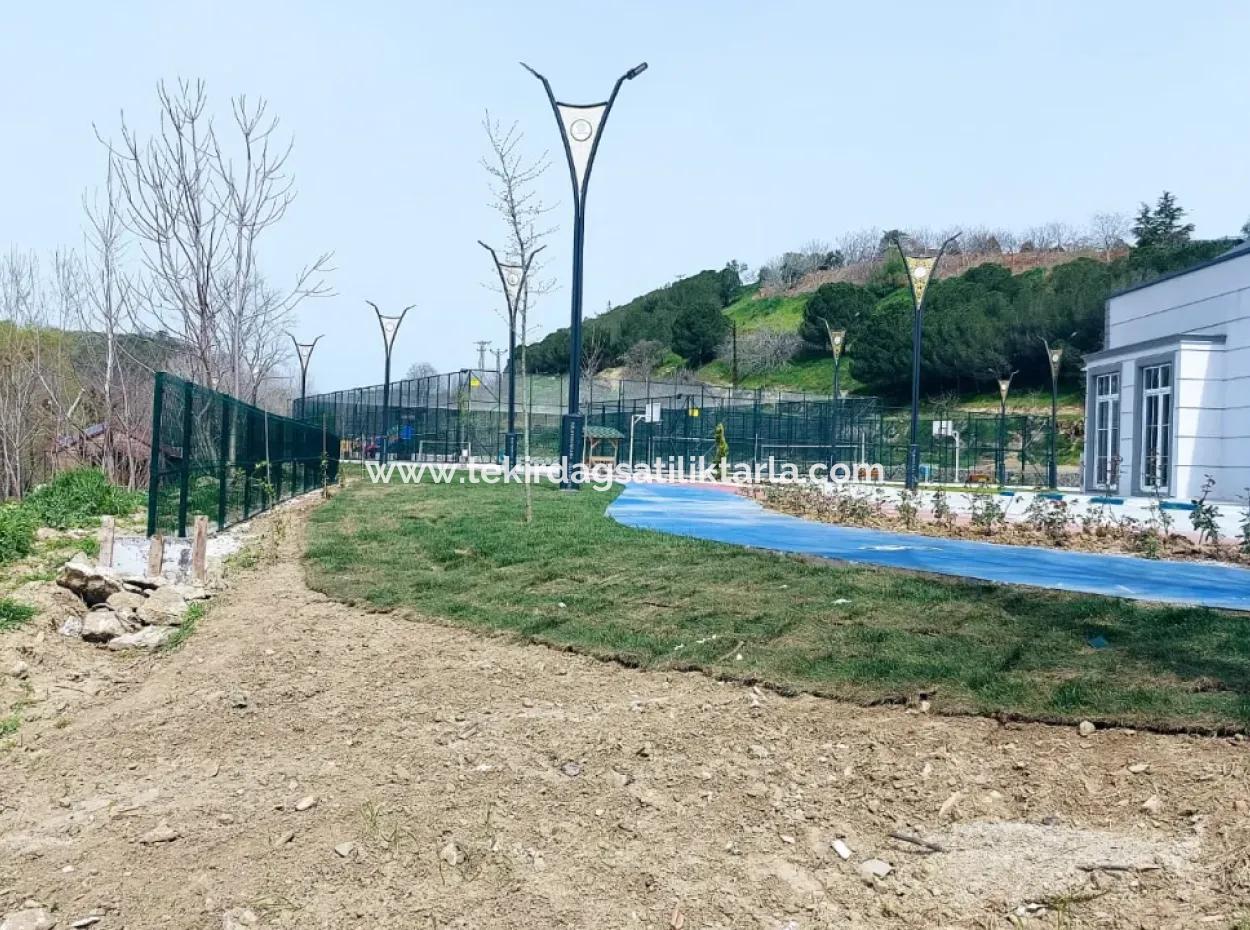 Ganz In Der Nähe Des Hafens Von Asyaport Mit Hohem Gewinn Und Garantiertem Wohngebiet