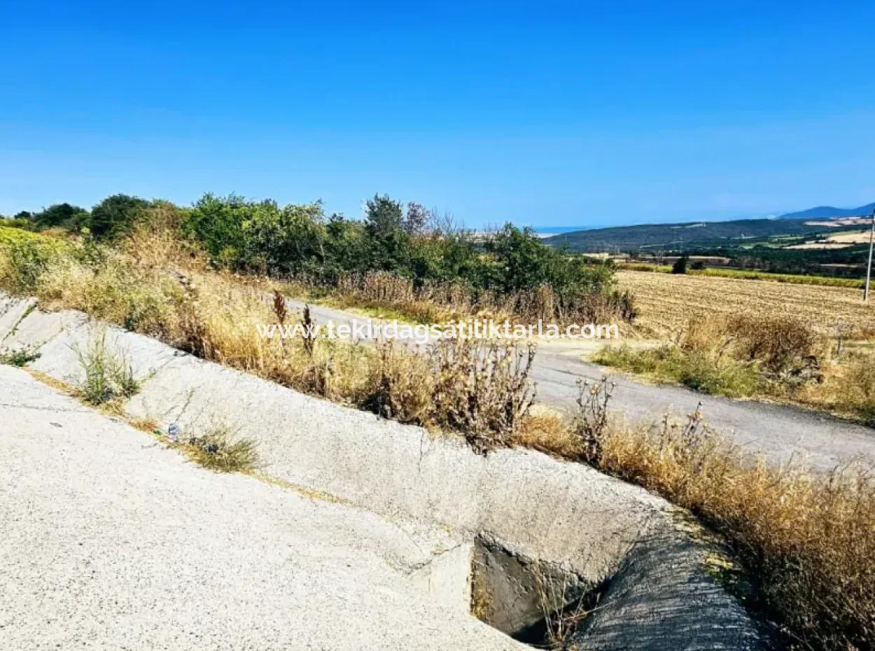 Tekirdağ Aşağkiliçli Mah. 2.340 M2 Kupon Feld Für Dringenden Verkauf, Das Hohe Gewinne Verspricht Und Sich Für Kauf Und Verkauf Eignet