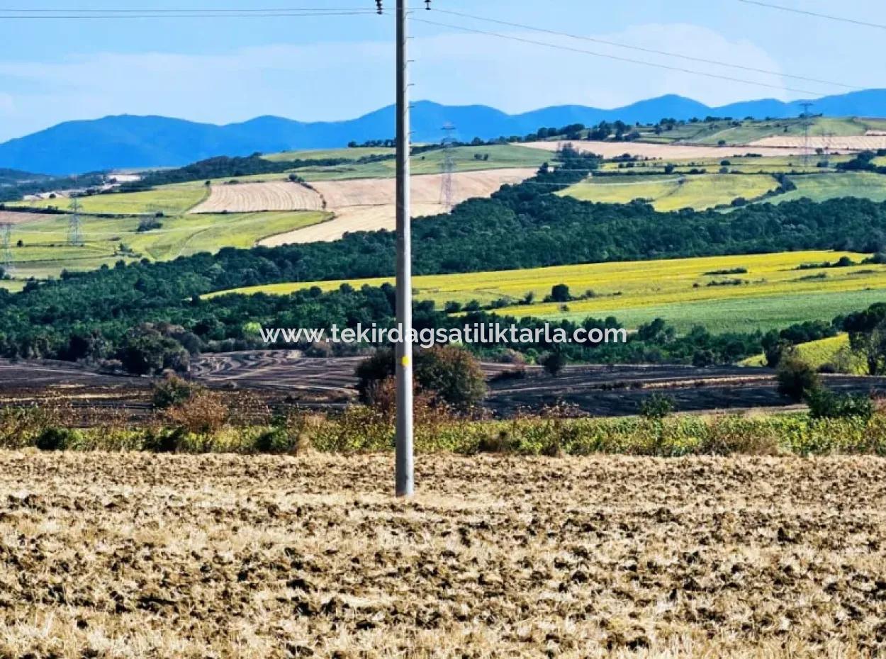 Tekirdağ Aşağkiliçli Mah. 2.340 M2 Kupon Feld Für Dringenden Verkauf, Das Hohe Gewinne Verspricht Und Sich Für Kauf Und Verkauf Eignet