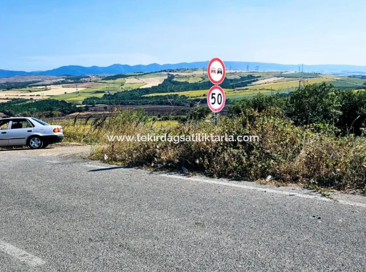 Tekirdağ Aşağkiliçli Mah. 2.340 M2 Kupon Feld Für Dringenden Verkauf, Das Hohe Gewinne Verspricht Und Sich Für Kauf Und Verkauf Eignet