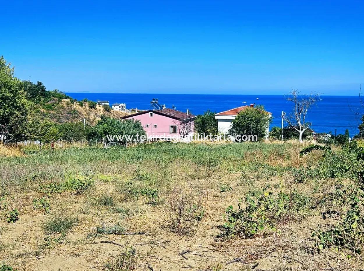 Eine Unumgängliche Gelegenheit Für Diejenigen, Die Einen Ort Zum Dringenden Verkauf Suchen 4 Side Road Fassadeninvestition In Tekirdag Barbarosta