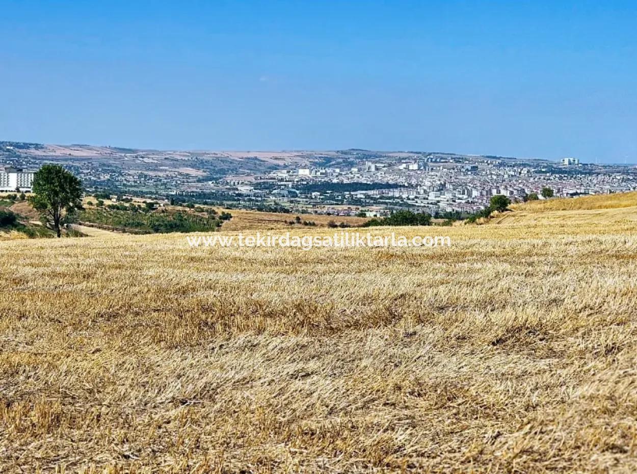 2.650 M2 Villa Zum Dringenden Verkauf In Tekirdag Barbarosta Zoned Coupon Field Geeignet Für Investitionen