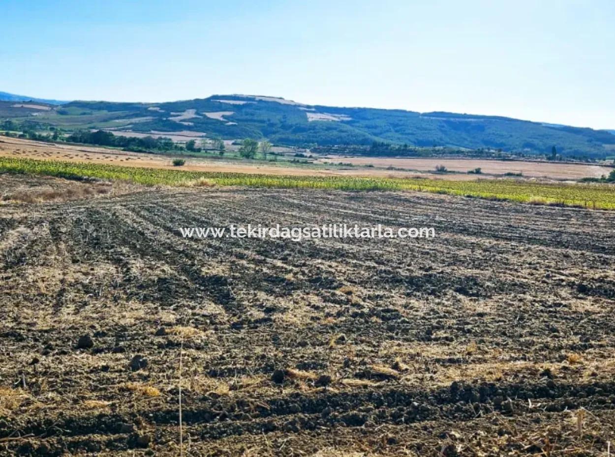 Der Hafen Von Asyaport Liegt Ganz In Der Nähe Der Bestehenden Zonierung Von 17.350 M2 Schnäppchen-Investitionscoupon-Feld Für Den Dringenden Verkauf