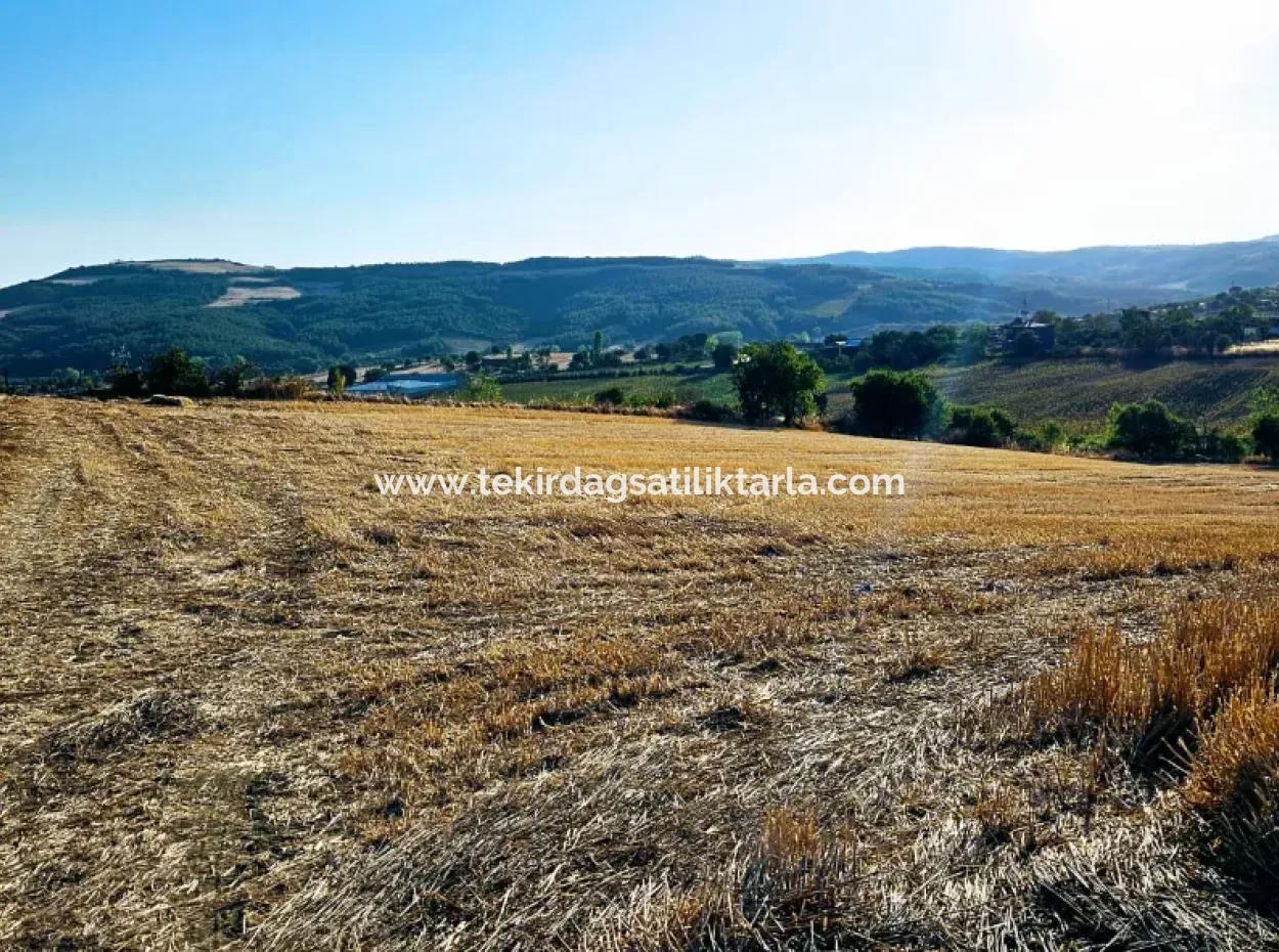 Der Hafen Von Azyaport Liegt In Der Nähe Des Bestehenden Zoning 16.100 Emergency Sale Investment Bargain Coupon-Feldes