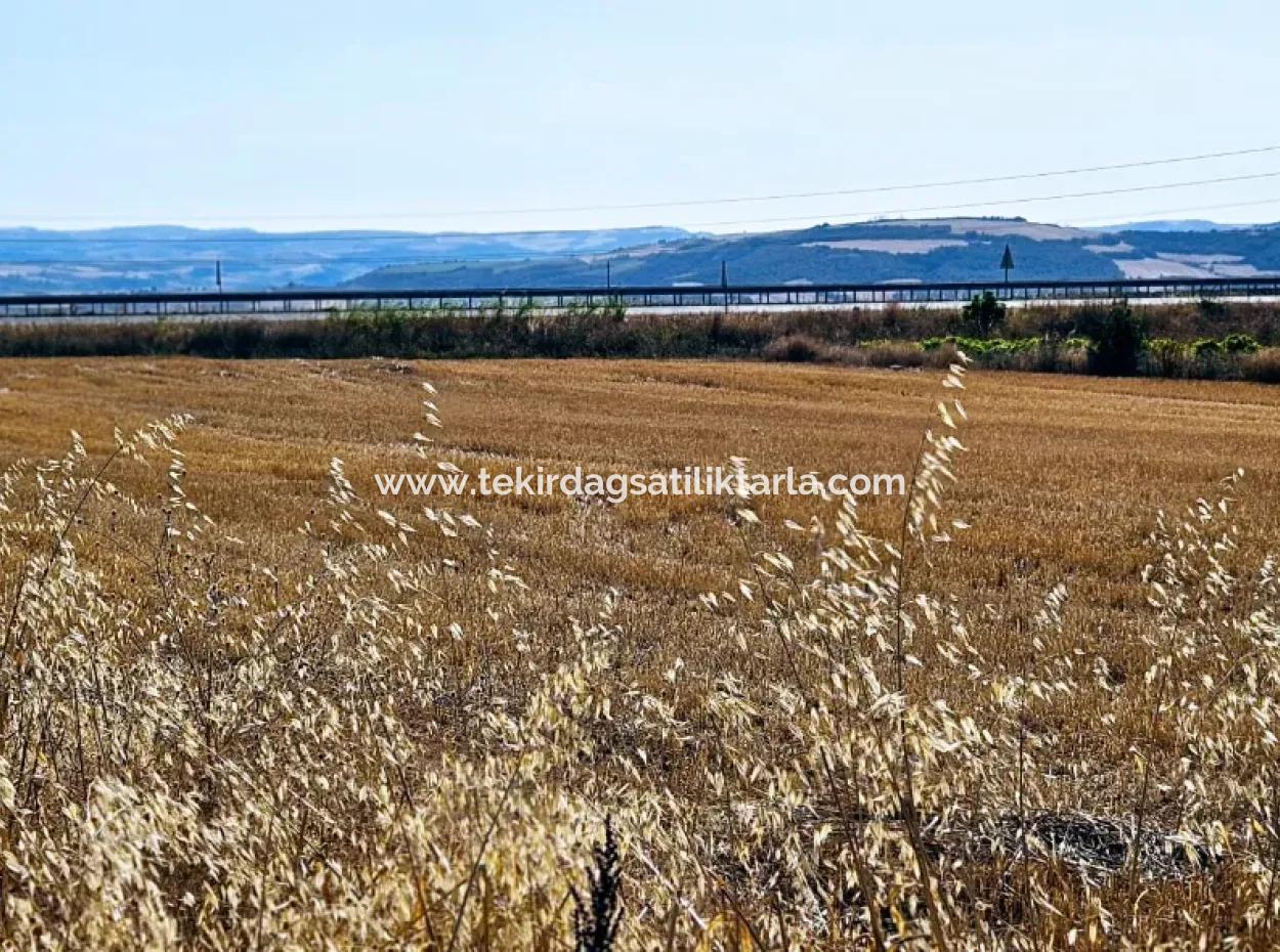Der Hafen Von Asyaport Liegt Im Rahmen Des Aktuellen Bebauungsplans (