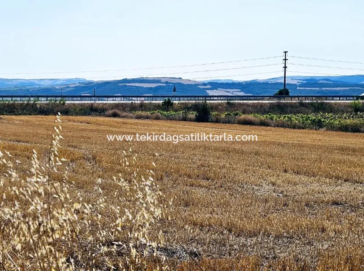 Der Hafen Von Asyaport Liegt Im Rahmen Des Aktuellen Bebauungsplans (