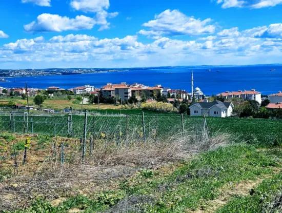 Herrlicher Blick Auf Das Meer Und Die Natur Oder Genossenschaft. Egal, Ob Sie Eine Luxusvilla Bauen Möchten. 40 Wohnungen 6.400 Wohngrundstücke