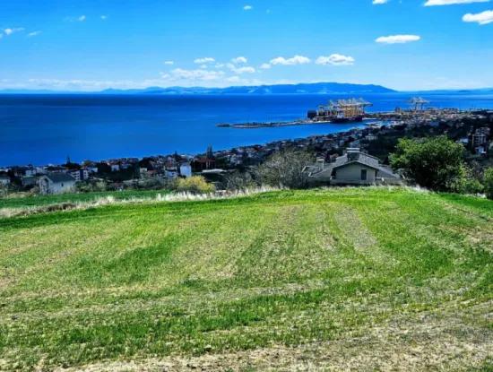 Vollständige Meeres- Und Naturlandschaftsinfrastruktur Bereit Luxus-, 45-Wohnungen-, Genossenschafts- Und Coupon-Grundstücke, Die Für Den Bau Vor Ort Geeignet Sind