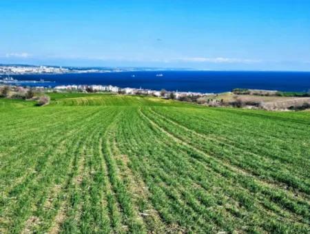 Die Nächstgelegene Region Zu Istanbul Ist Tekirdag Barbarost 34.500 Opportunity Zoned Land, Das Sich Für Den Bau Von 75 Luxusvillen Mit Vollem Blick Auf Das Meer Und Die Natur Eignet