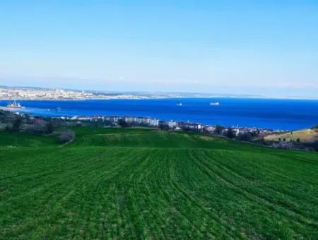 Die Nächstgelegene Region Zu Istanbul Ist Tekirdag Barbarost 34.500 Opportunity Zoned Land, Das Sich Für Den Bau Von 75 Luxusvillen Mit Vollem Blick Auf Das Meer Und Die Natur Eignet