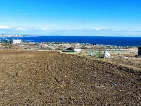 Bewerben Sie Sich Für Ein Luxusvillen-Projekt Zum Dringenden Verkauf, Bieten Sie Eine Hohe Lage In Kaznç, Einen Herrlichen, Vollständig Vollen Blick Auf Das Meer Und Die Natur