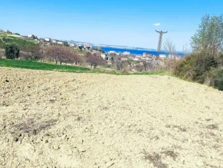 Investitionsmöglichkeit: 615 M2 Eckgrundstück Zum Verkauf In Tekirdag Barbaros - Dringender Verkauf, Meer- Und Naturblick, 0 Zonenbu Harika Konumda Ve 615 M2 Genişliğindeki Acil Satılık Köşe Arsa, Yatırımcılar Için Muazz