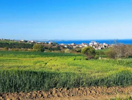 Investitionsmöglichkeit: 615 M2 Eckgrundstück Zum Verkauf In Tekirdag Barbaros - Dringender Verkauf, Meer- Und Naturblick, 0 Zonenbu Harika Konumda Ve 615 M2 Genişliğindeki Acil Satılık Köşe Arsa, Yatırımcılar Için Muazz