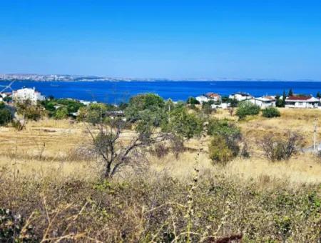 Gelegenheit Grundstück Geeignet Für Den Bau Eines Einfamilienhauses In Herrlicher Lage In Tekirdag Barbarosta, In Der Nähe Des Meeres
