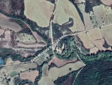 Dieses 5.500 Quadratmeter Große Feld Am Bach Liegt Im Bezirk Tekirdağ Süleymanpaşa Yeniköy