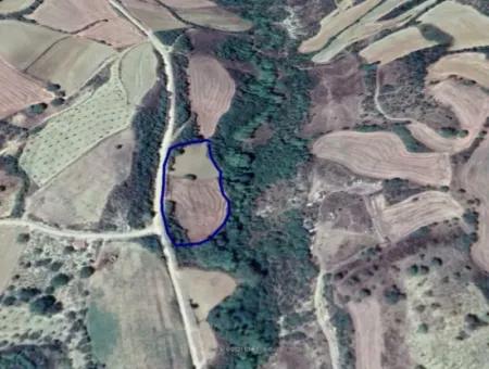 Dieses 5.500 Quadratmeter Große Feld Am Bach Liegt Im Bezirk Tekirdağ Süleymanpaşa Yeniköy