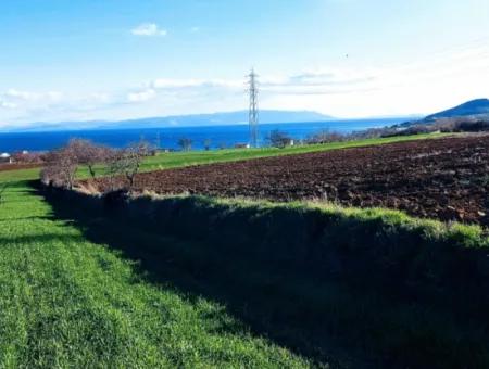 17 980 M2 Feld Zum Verkauf In Der Nähe Des Hafens Von Tekirdag Barbaros Asyaport