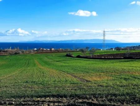 17 980 M2 Feld Zum Verkauf In Der Nähe Des Hafens Von Tekirdag Barbaros Asyaport