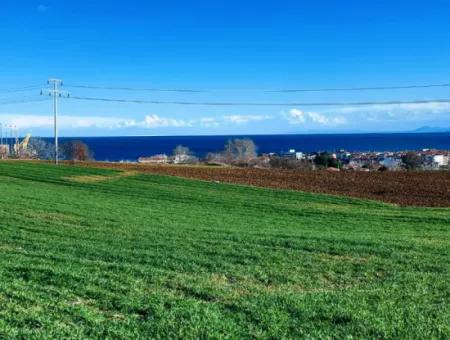 Dieses 11.100 M2 Große Wohngrundstück Befindet Sich In Süleymanpaşa Barbaros, Tekirdag, In Einer Großartigen Lage.