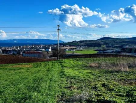 Dieses 11.100 M2 Große Wohngrundstück Befindet Sich In Süleymanpaşa Barbaros, Tekirdag, In Einer Großartigen Lage.