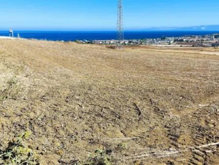 Das 21.900 M2 Große Grundstück In Tekirdağ Barbaros Befindet Sich Innerhalb Des Aktuellen Bebauungsplans Von Asyaport Port