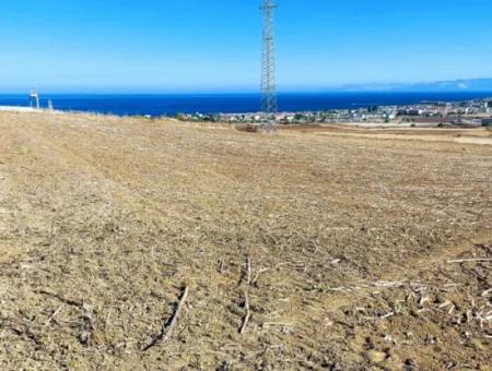 Das 21.900 M2 Große Grundstück In Tekirdağ Barbaros Befindet Sich Innerhalb Des Aktuellen Bebauungsplans Von Asyaport Port