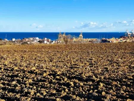 17.100 M2 Wohngebiet Mit Herrlicher Aussicht, In Der Nähe Des Hafens Tekirdağ Barbaros Asyaport