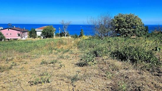 Tekirdağ Barbarosta 4 Seiten Straßenfassade Infrastruktur Bereit Genossenschaft Und Ort Geeignet Für Den Bau Von Baustellen