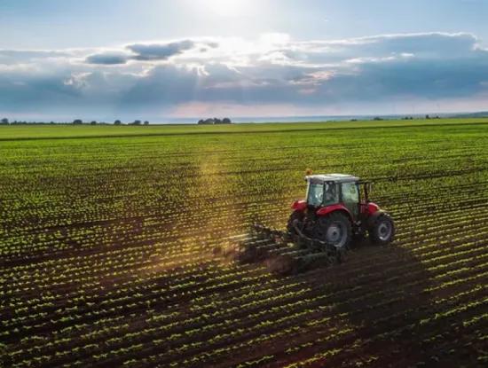 Tekirdag Suleymanpasa Aşağıkılıçlı Mahallesi
