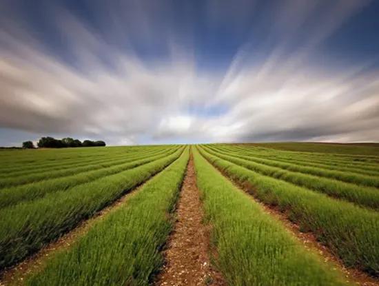 Tekirdag Suleymanpasa Aydogdu Mahallesi