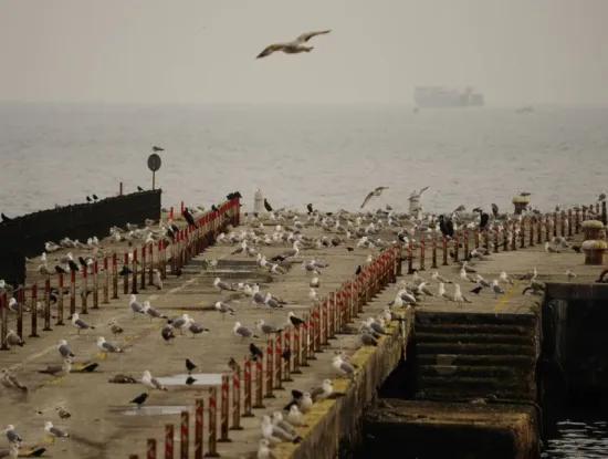 Tekirdağ Süleymanpaşa District