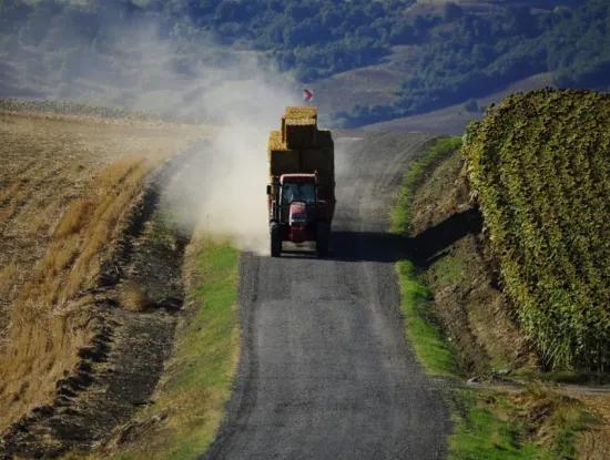 Tekirdağ Süleymanpaşa District