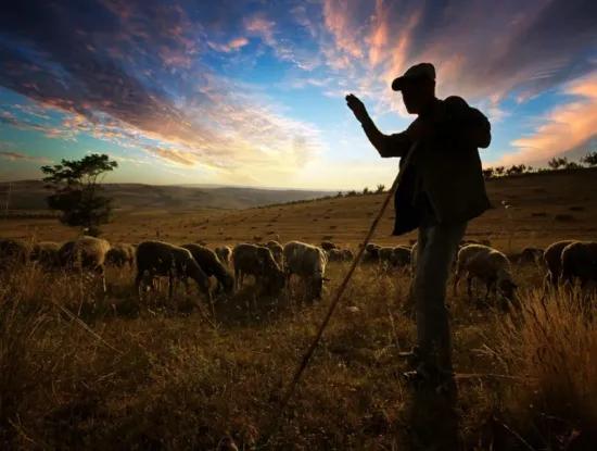 Tekirdağ For Sale, Rent, Land, Field, Apartment, Detached House, Hotel, Villa, Hotel, Msc Asya Port, Zoned, Kelepir, Sea, Nature, Landscape, Prefabricated House