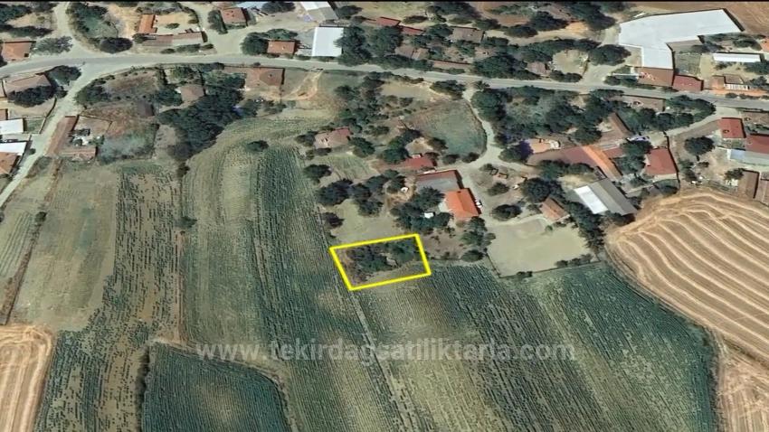 Urgent Sale: Unmissable Opportunity For Those Dreaming Of A Village House - Bargain Plot Of Land