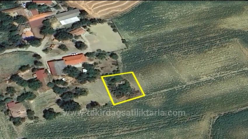 Urgent Sale: Unmissable Opportunity For Those Dreaming Of A Village House - Bargain Plot Of Land