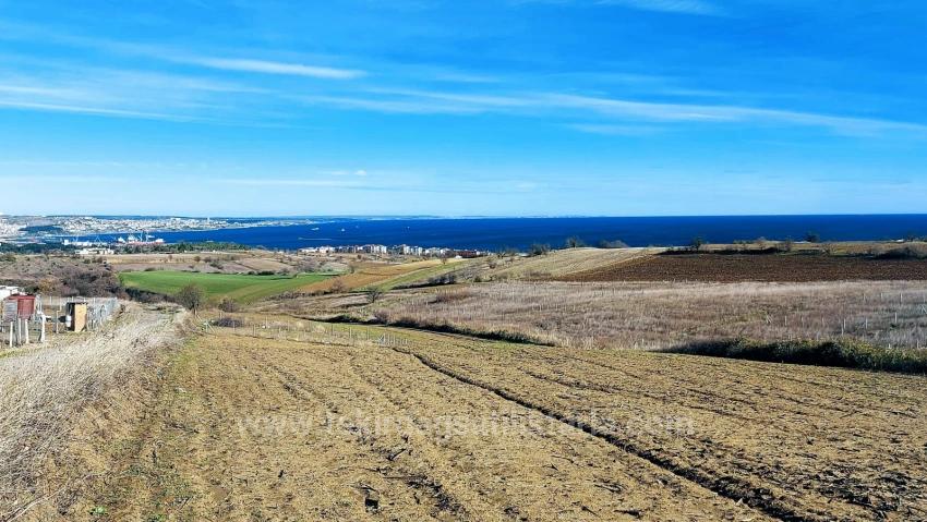 Bargain Plot Of Land With Full Sea, Nature And City Views, Zoned For 20% Two-Story Construction.