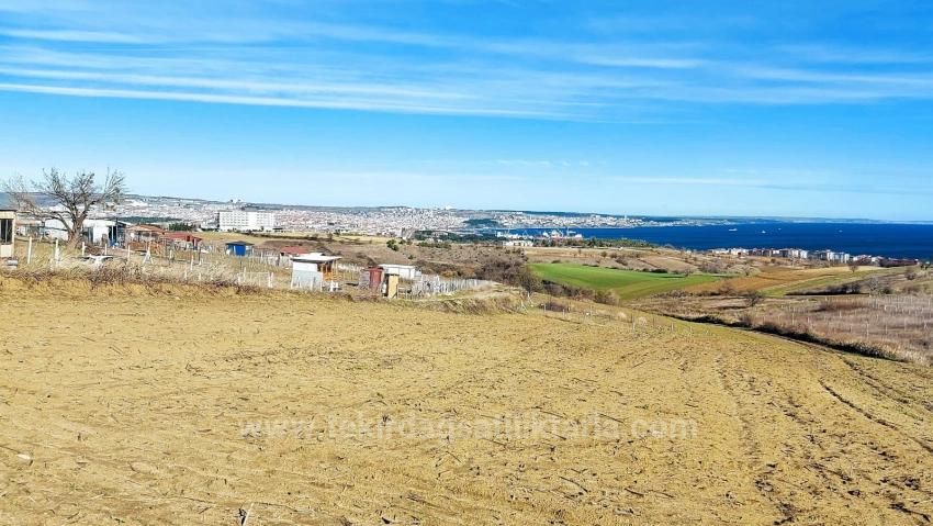 Bargain Plot Of Land With Full Sea, Nature And City Views, Zoned For 20% Two-Story Construction.