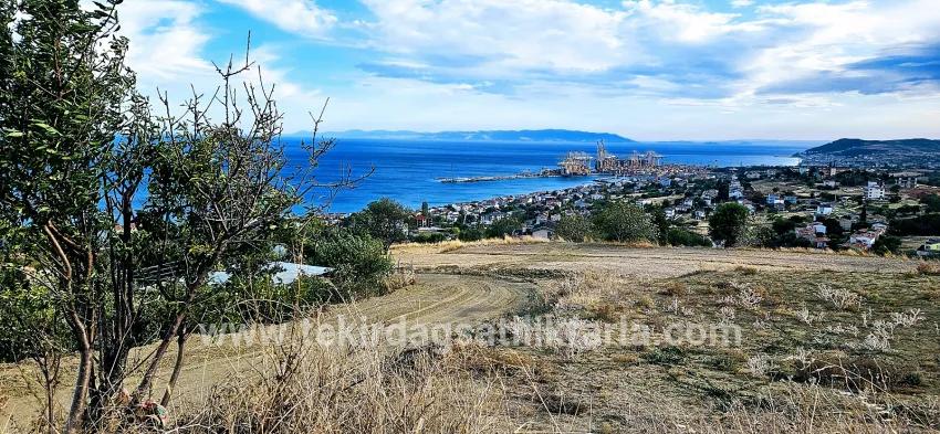 Land For sale in Barbaros Nbh. Süleymanpaşa Kumbağ - Housing Zoned - 528 m²