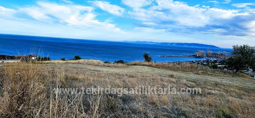 Land For sale in Barbaros Nbh. Süleymanpaşa Kumbağ - Housing Zoned - 528 m²