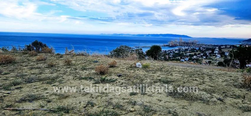 Land For sale in Barbaros Nbh. Süleymanpaşa Kumbağ - Housing Zoned - 528 m²
