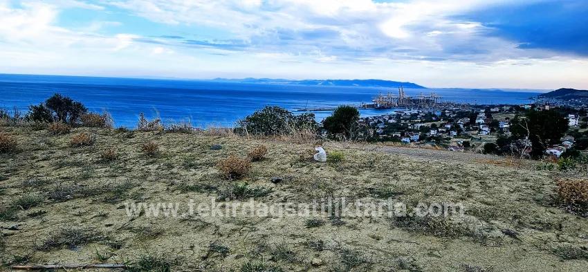 Land For sale in Barbaros Nbh. Süleymanpaşa Kumbağ - Housing Zoned - 528 m²