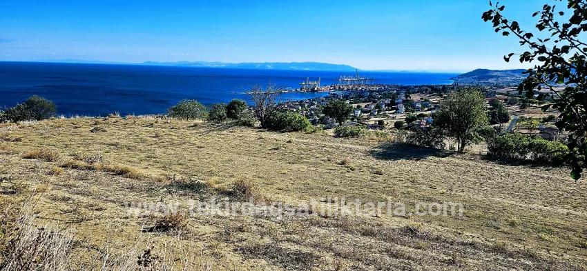 Land For sale in Barbaros Nbh. Süleymanpaşa Kumbağ - Housing Zoned - 2.780 m²