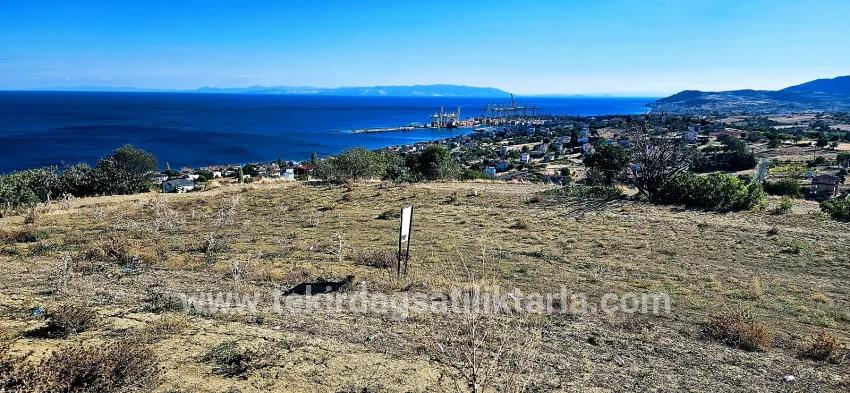 Land For sale in Barbaros Nbh. Süleymanpaşa Kumbağ - Housing Zoned - 2.780 m²