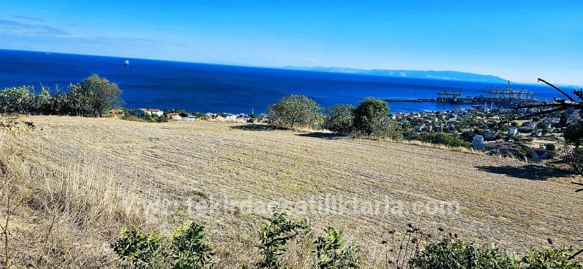 Land For sale in Barbaros Nbh. Süleymanpaşa Kumbağ - Housing Zoned - 2.780 m²