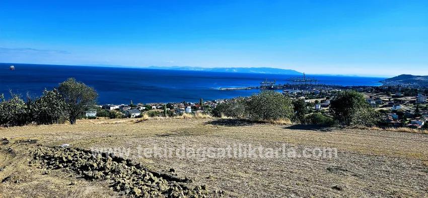 Land For sale in Barbaros Nbh. Süleymanpaşa Kumbağ - Housing Zoned - 2.780 m²